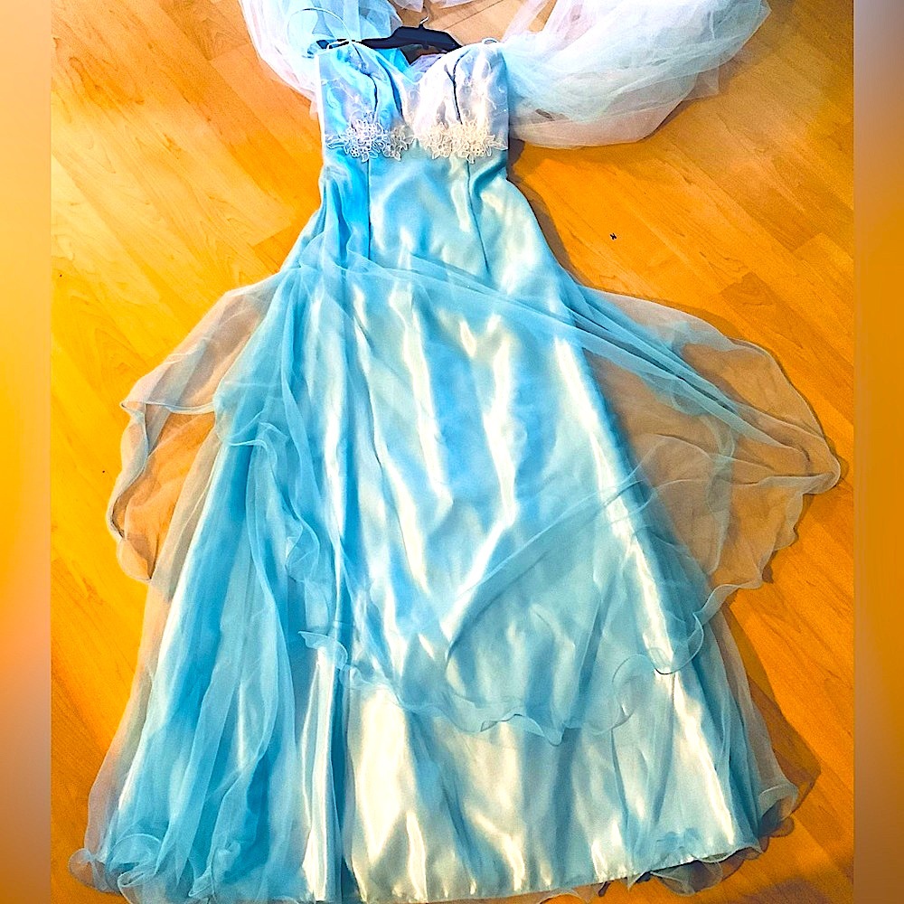 Gorgeous Adult Size 4 Princess Elsa Custom-made costume